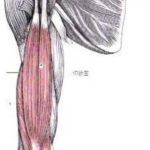 image004kk