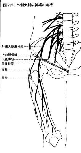 06年11月日 第25回発表資料 東洋鍼灸院